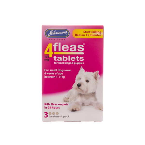 Johnsons-4Fleas - Small Dogs and Puppies