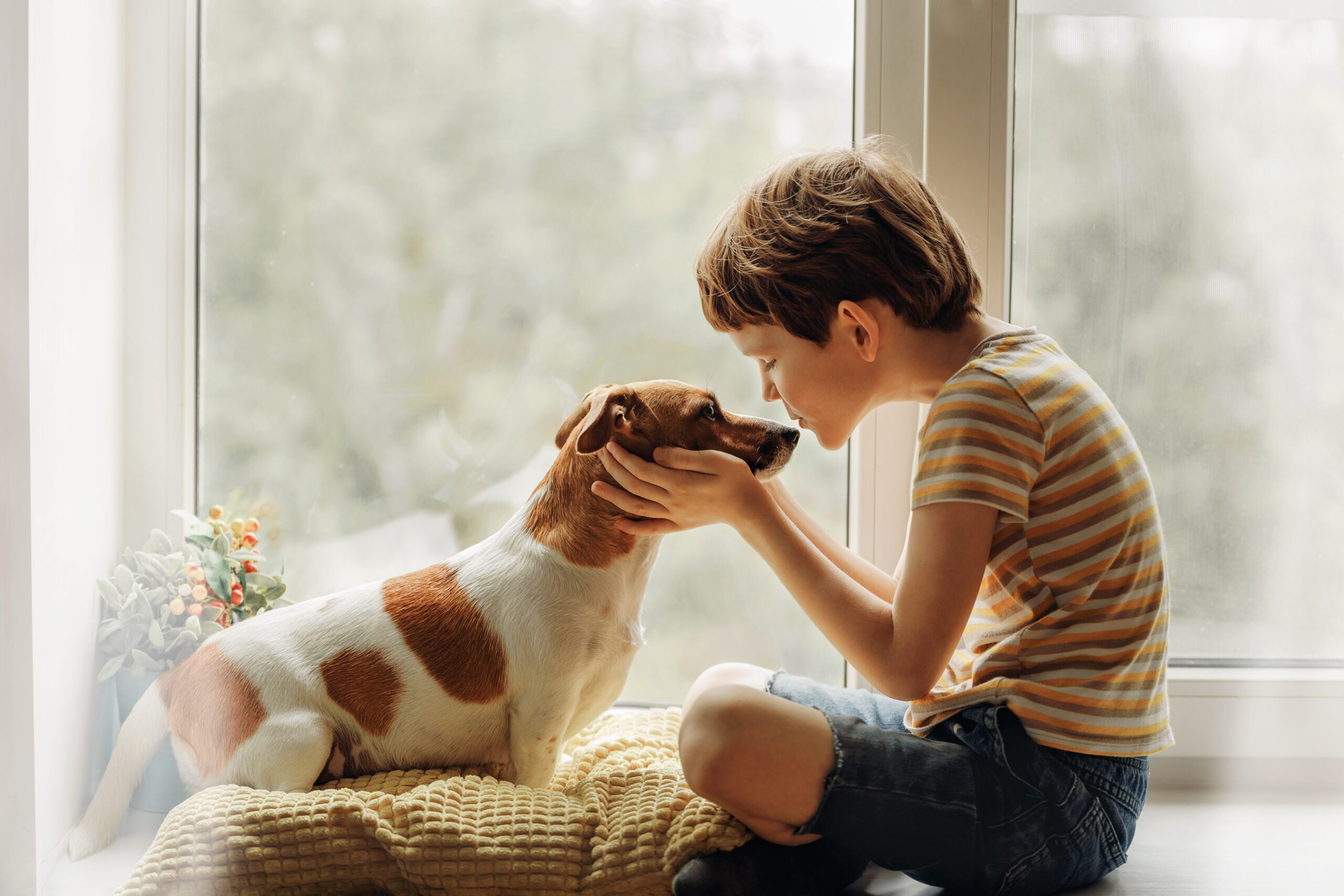 Read more about the article Pets and Our Children