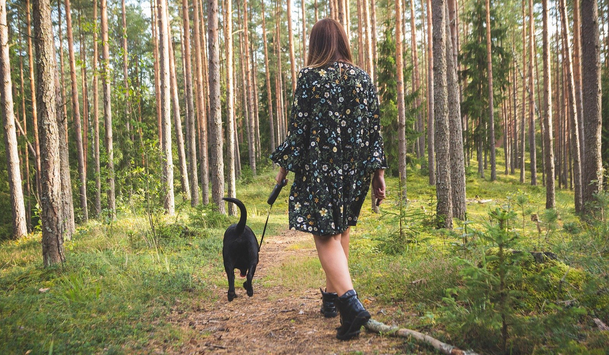 Read more about the article Six Ways to Celebrate National Dog Day