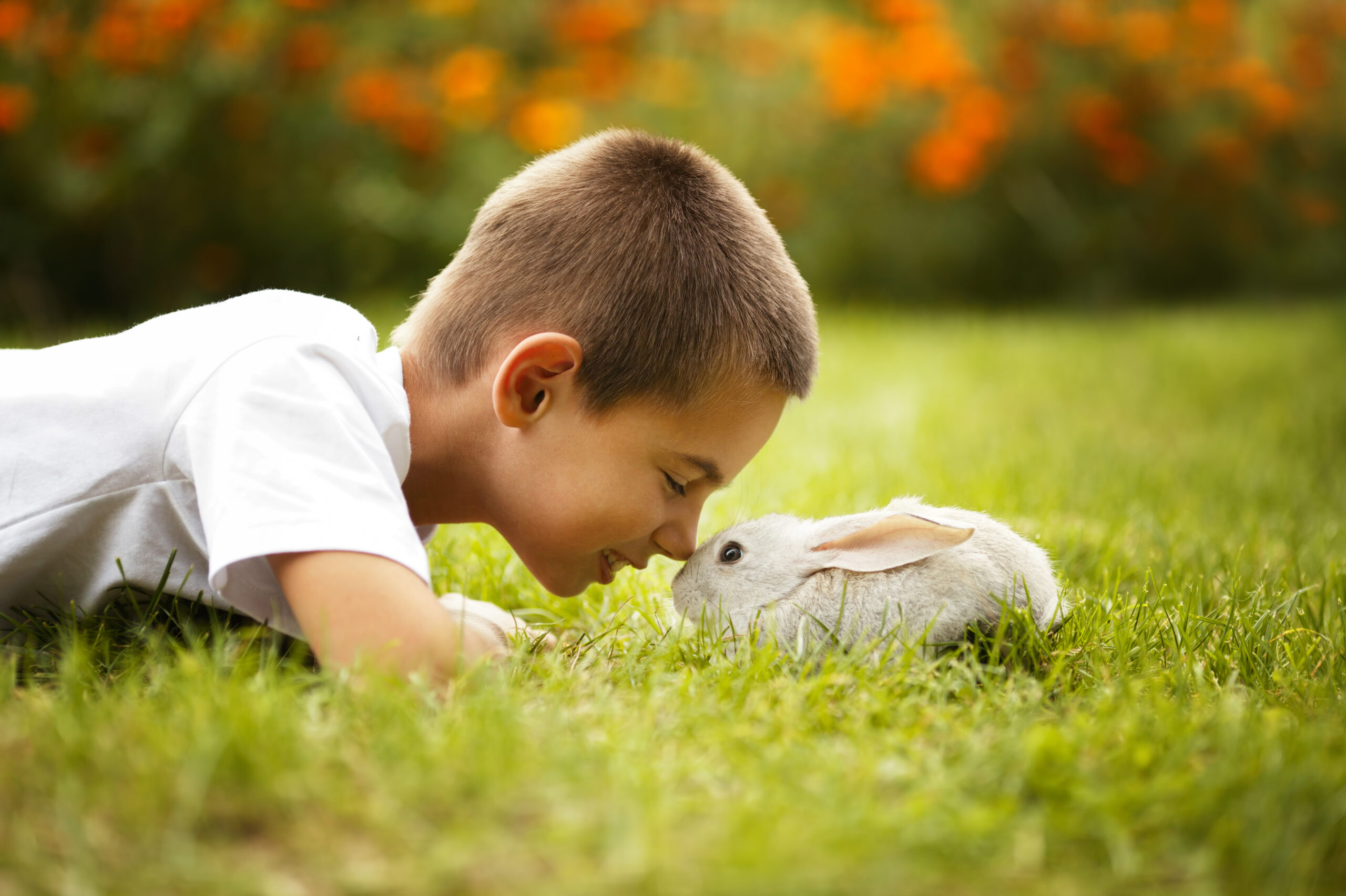 Read more about the article Should I Buy a Rabbit for Easter?