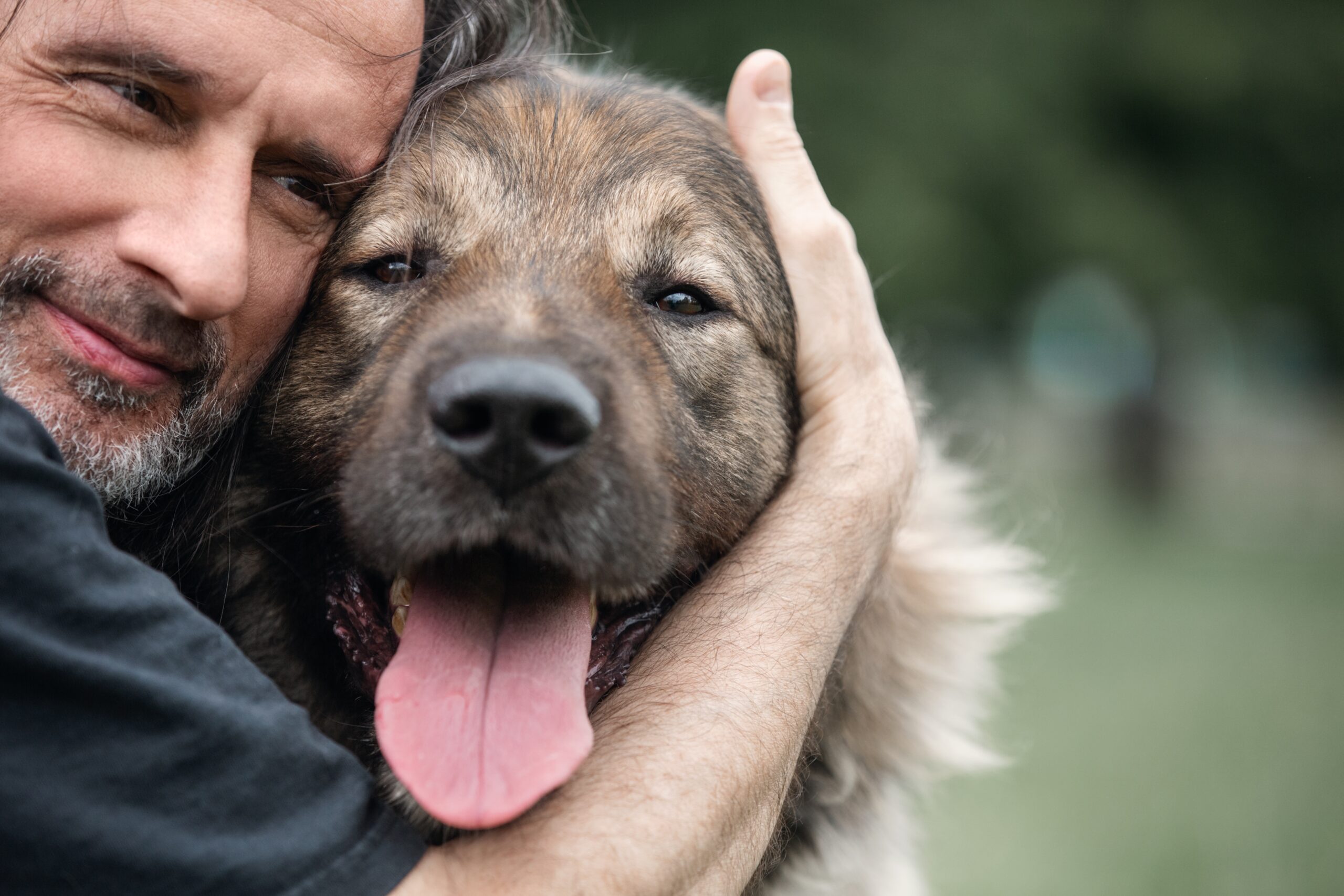 how petting dogs can help metal health