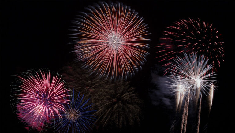 Read more about the article Preparing Your Pet for Firework Season