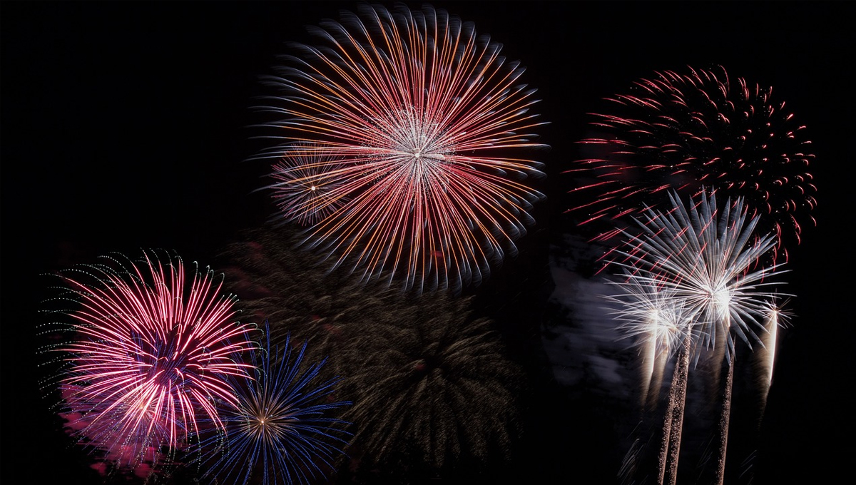 You are currently viewing Preparing Your Pet for Firework Season