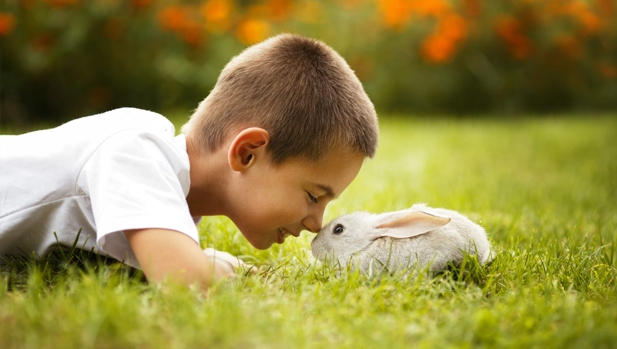 Read more about the article Should I Buy a Rabbit for Easter?