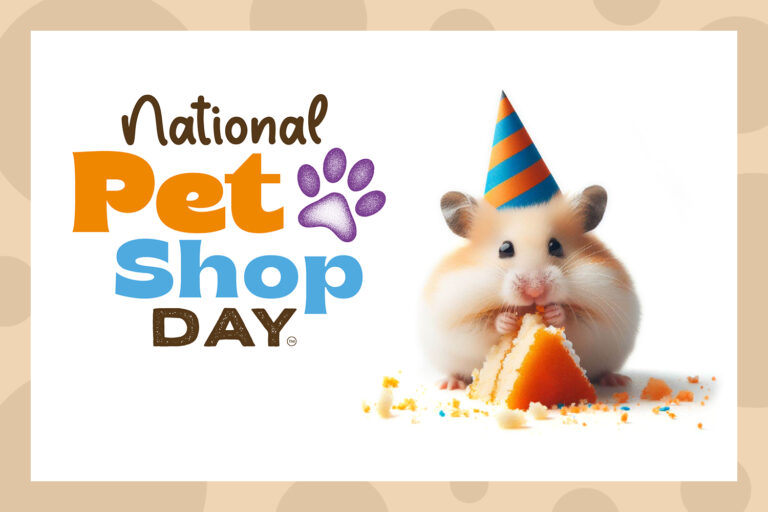 Read more about the article More than just a Store: National Pet Shop Day to celebrate services and solutions on the high street