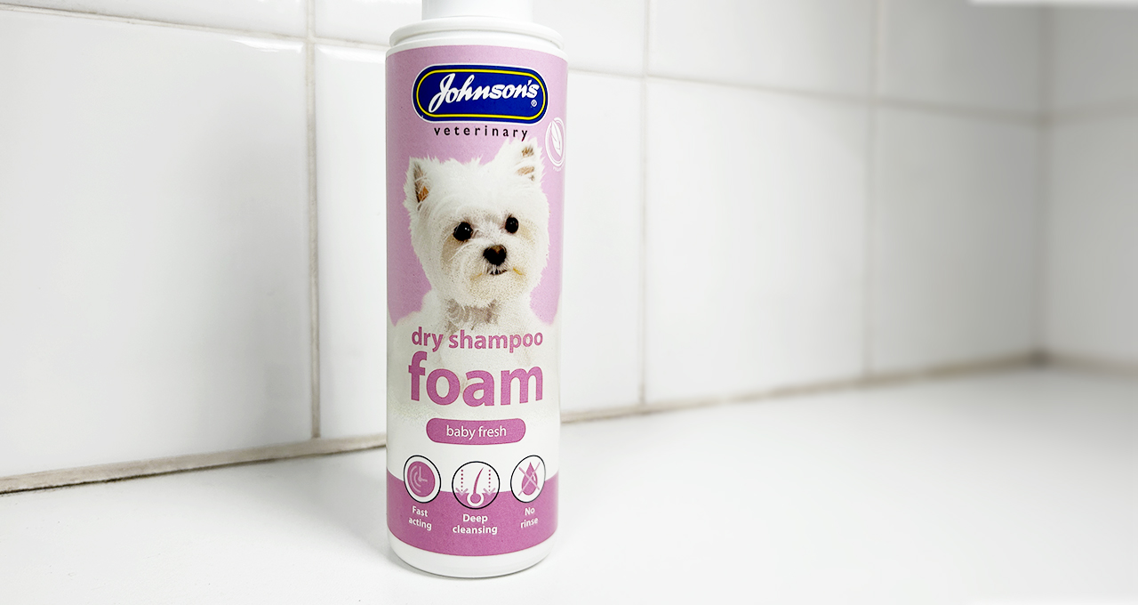 Read more about the article Dry Shampoo for dogs who don’t like to wash 