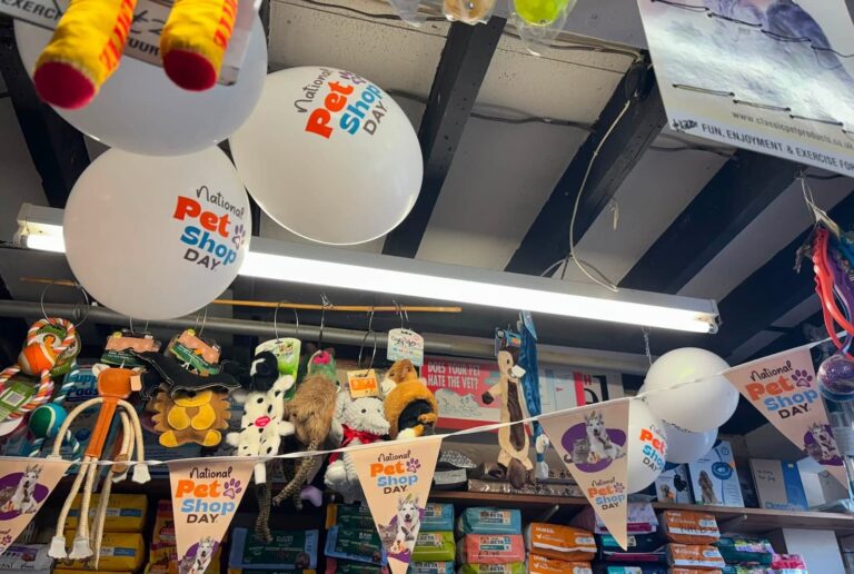 Read more about the article National Pet Shop Day 2026: thank you for proving the point 